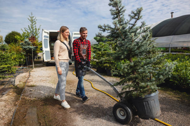Mineola, TX Tree Services Company